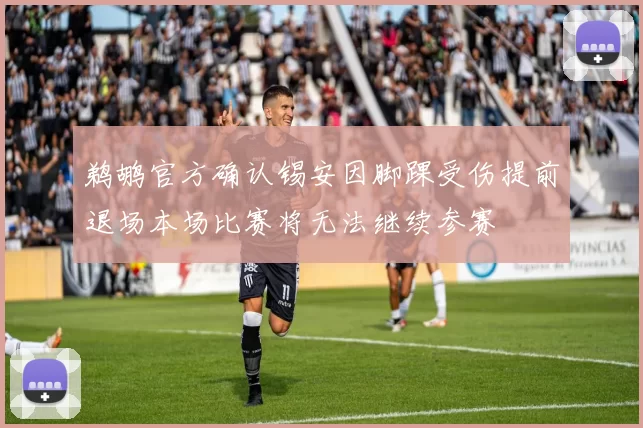 鹈鹕官方确认锡安因脚踝受伤提前退场本场比赛将无法继续参赛
