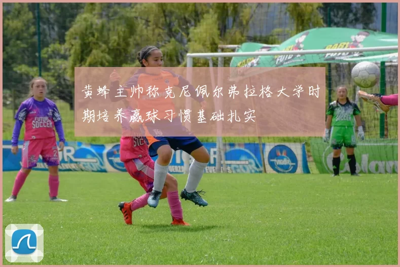 黄蜂主帅称克尼佩尔弗拉格大学时期培养赢球习惯基础扎实